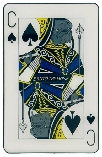 Custom Giant Pins - 552 MXS Commanders Coin - Front